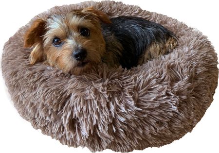 Picture for category Dog Beds