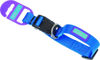 Picture of Plain Nylon Dog Collar