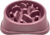 Picture of Slow Feeding Pet Bowl - Medium Large